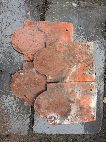 Reclaimed rare kent - rare, peg