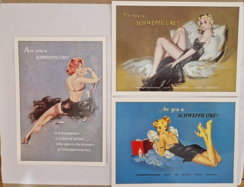 Schweppes schweppicure pin - schweppes,