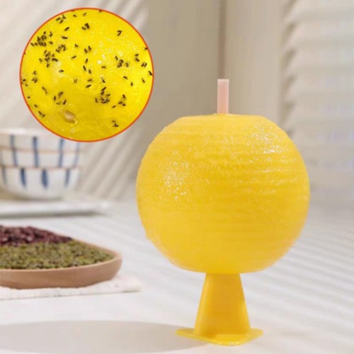 Fruit fly balls - fly,