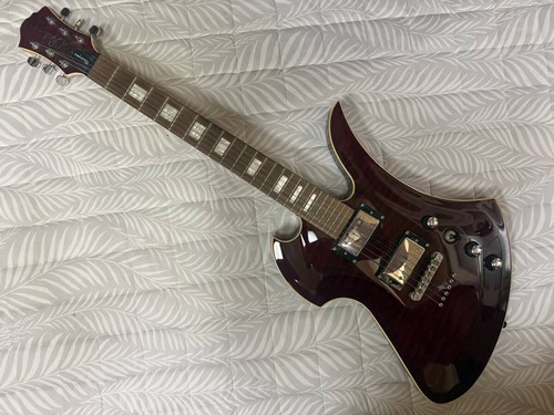 Rich mockingbird - b.c.rich,