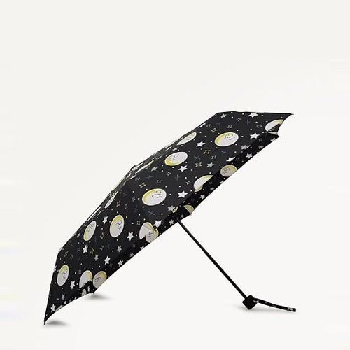 Radley the moon - the,