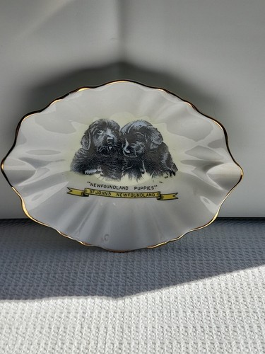 Newfoundland puppies vintage - newfoundland,