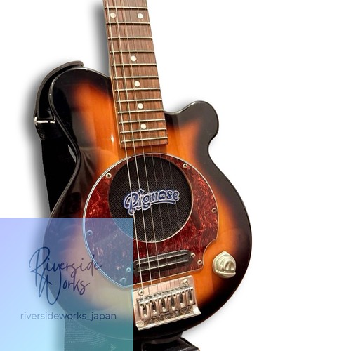 Pignose amp built electric - built-in,