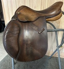 All Purpose Collegiate 16"