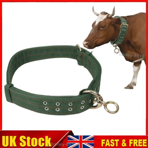Cow neck strap horse tether - horse,