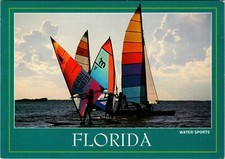 Continental Postcard Florida