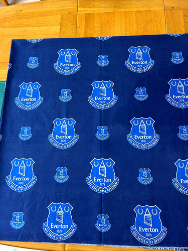 Everton crest football club - football,