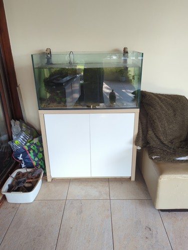Clear seal bespoke aquarium - bespoke,