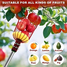 Apples Fruit Picker