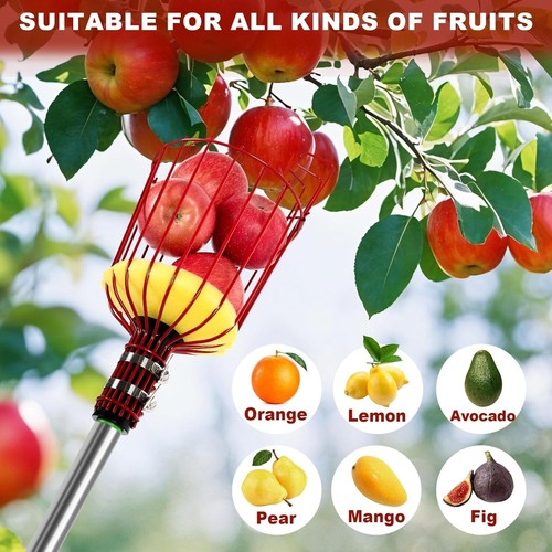 Apples fruit picker - fruit,