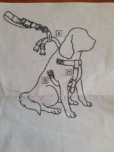 Craft dog car - dog, harness