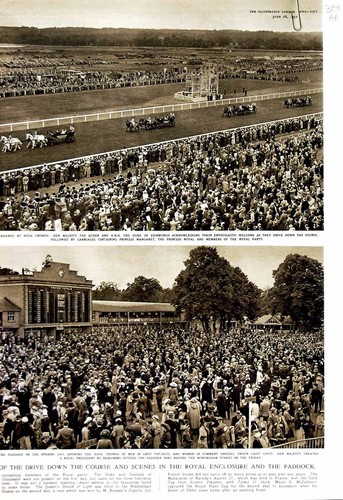 Old vintage print 1952 - 1952, royal