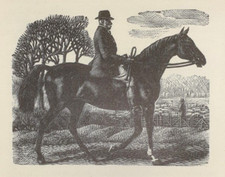 Tunnicliffe SQUIRE HUNTER