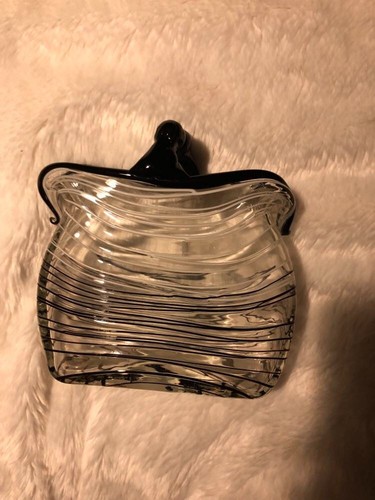 Genuine laguna handbag - handbag, vase~