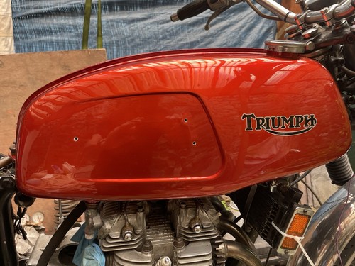 Triumph trident t150 petrol - trident,