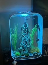 BIORB 60L White Entire Startup