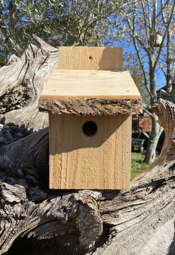 Handmade bird box - handmade, nesting