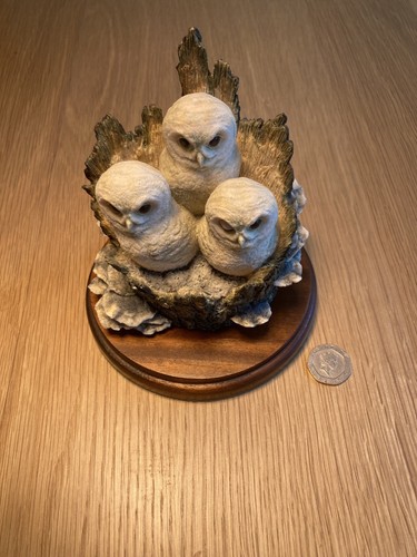 Border fine arts tawny owlets - fine, "tawny