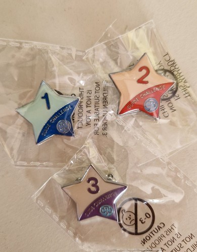 Girlguiding guide challenge - girlguiding,