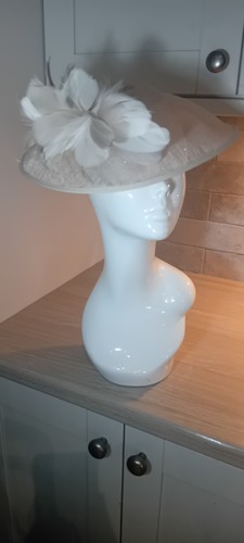 Fascinator hat feather mesh - feather,
