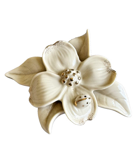 Lenox dogwood blossom - lenox,