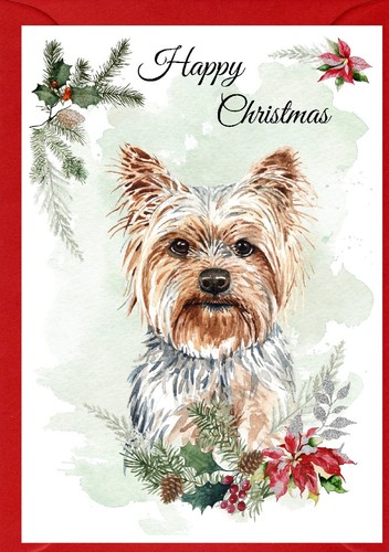 Yorkshire terrier dog x - terrier,