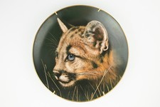 Princeton Gallery Cubs of the