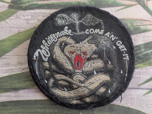 Whitesnake come get - come, an'