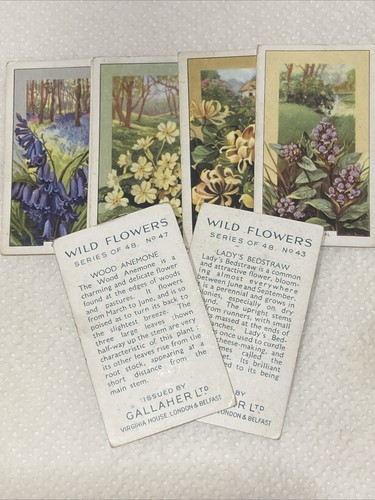 1937 gallaher wild - gallaher, flowers