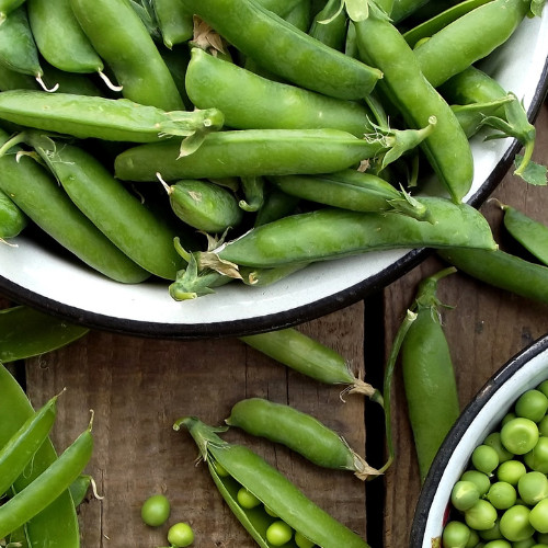 Pea tom thumb half pint - -,