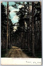 Lakewood New Jersey DB