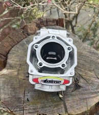 1 Junior Rotax Max Old Engine