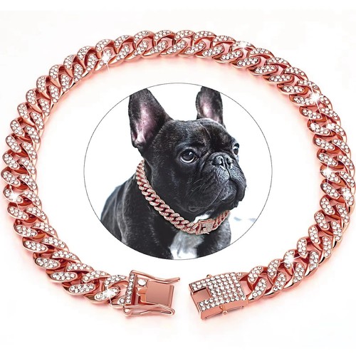 Luxury gold dog chain - dog,