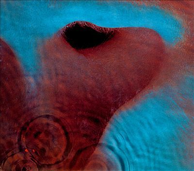 Pink floyd meddle - meddle, cd