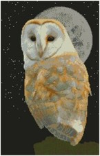 Barn Owl Night Sky Counted Cross Stitch Kit 10" x 15.5" 14 Count aida