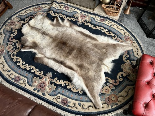 Vintage reindeer hide rug - hide,