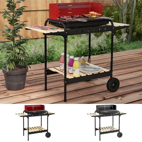 Charcoal barbecue grill with - grill,
