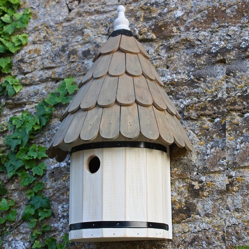 Wildlife world dovecote nest - world,