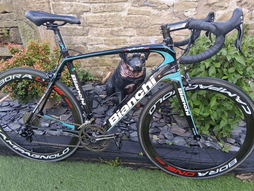 Bianchi infinito carbon - infinito, cv