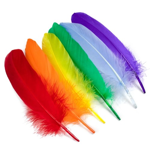 Real goose feathers natural - goose,