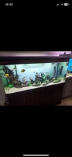 600 LTR Boyu Fish Tank 5ft Long 2ft Wide And 4 Door Stand