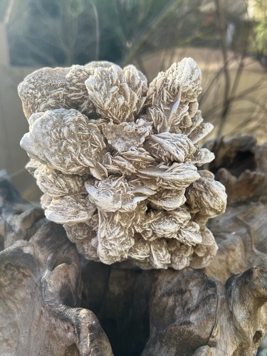 Selenite desert rose frosted - rose,