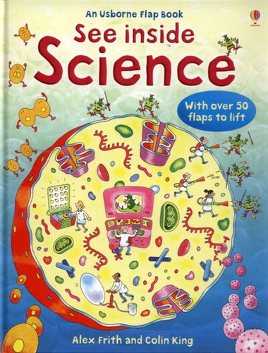Usborne flap book see - book:,
