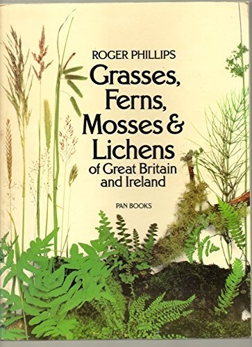 Grasses ferns mosses - mosses, and