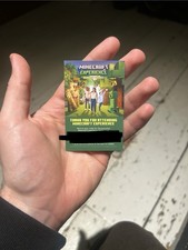 Minecraft Experience Villager Cape Code