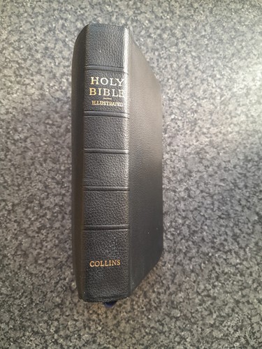 Holy bible illustrated - holy,