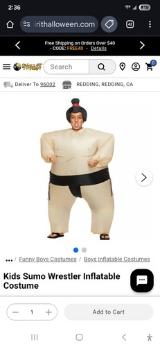 Inflatable sumo wrestler suit - sumo,