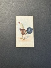 Fighting Cocks Cigarette Card (no 3)  Game Fowl