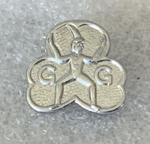 Vintage girl guides brownie - guides,