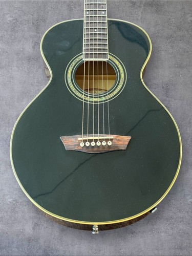 Washburn wpj5s acoustic - washburn, wpj5s-b